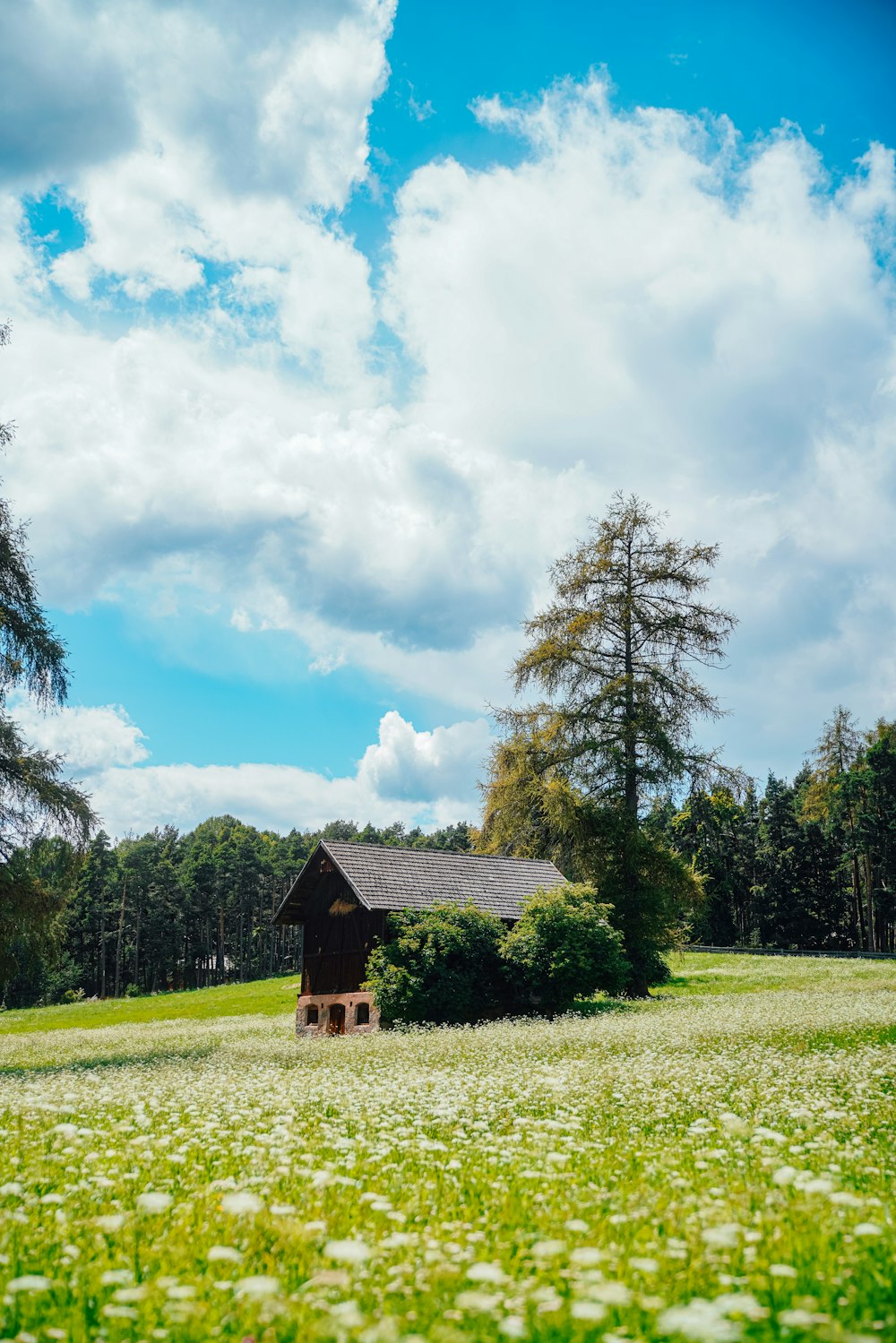 a small cabin in the middle of a field