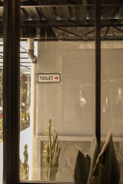 A view of a toilet sign with an arrow on a wall, indicating the direction to the restroom. There are indoor plants visible at the bottom, and the scene is viewed through a window, adding reflections and a layer of complexity to the image. The setting appears to be in a functional, perhaps industrial location with pipes and metal structures in the background.