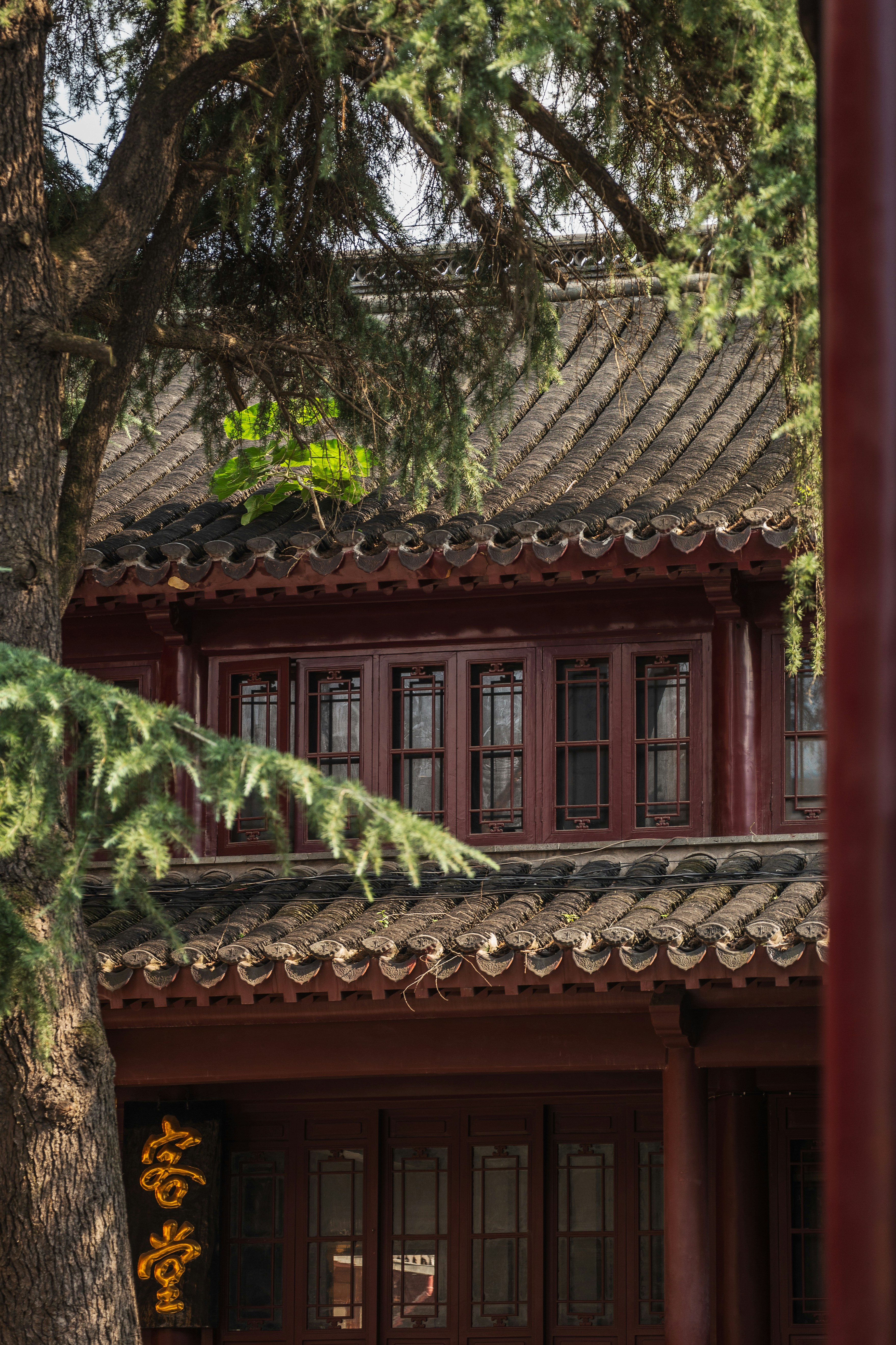 Photo by dylanhendricks