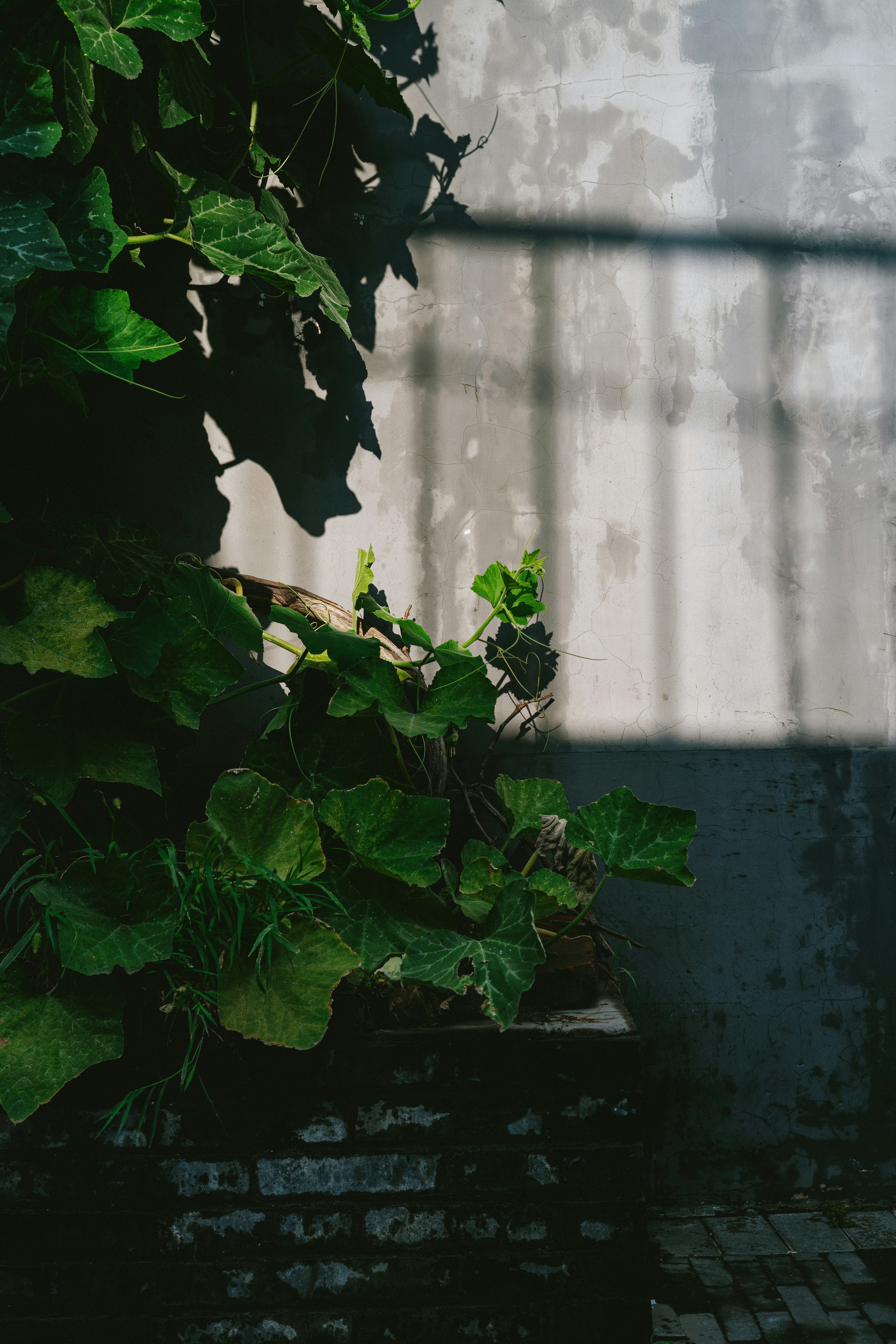 Photo by tommaomaoer