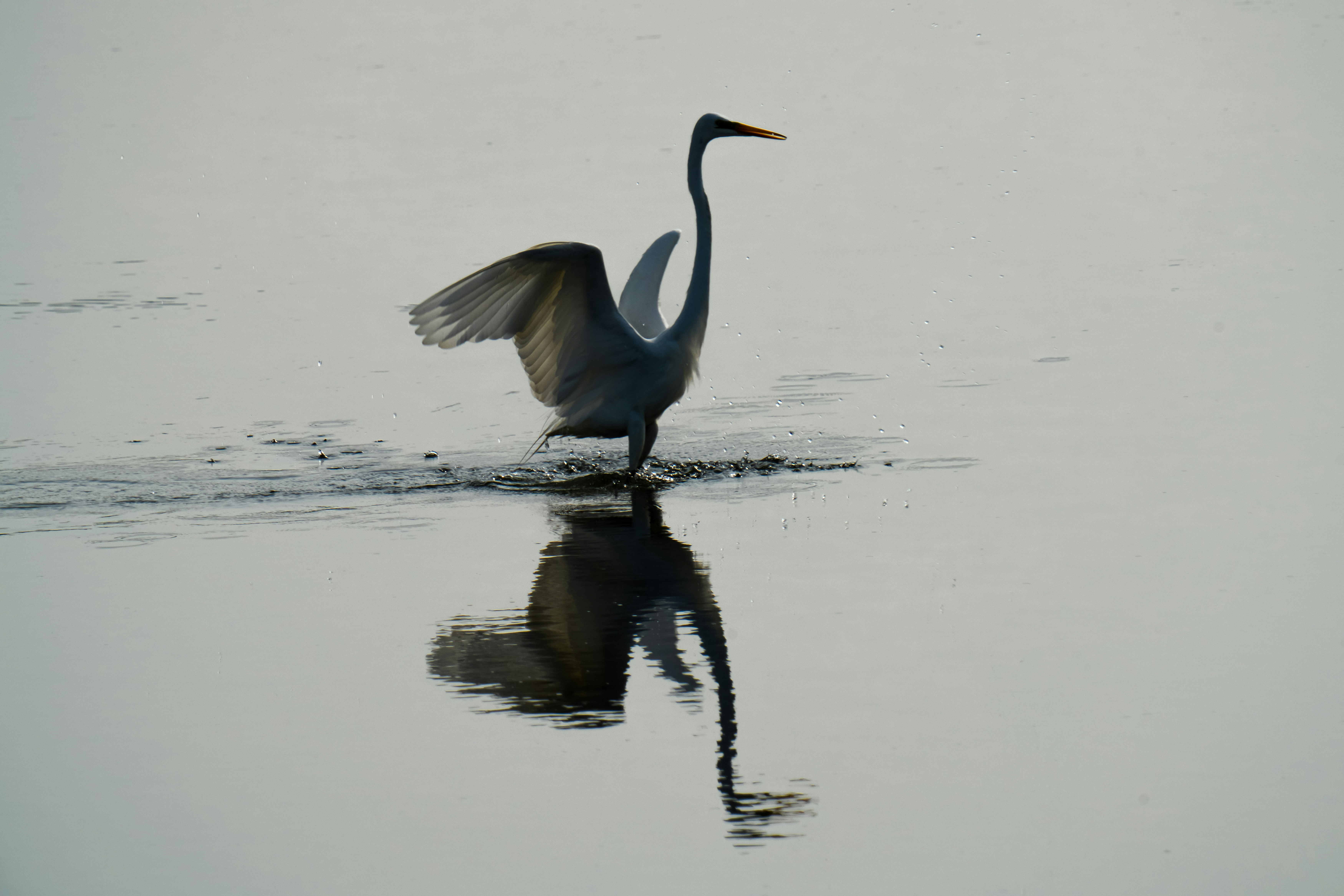 Photo by kim_dae_jeung