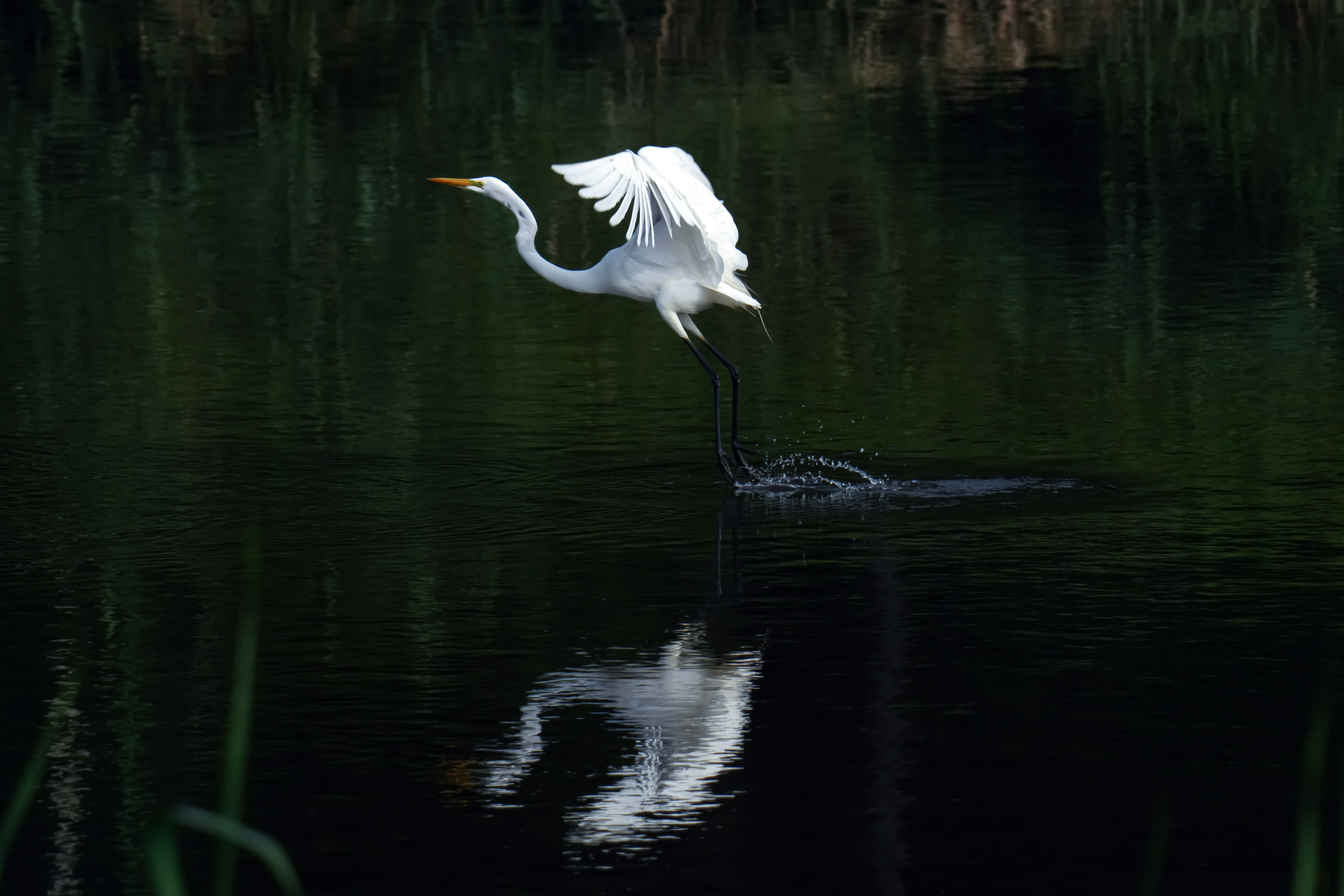 Photo by kim_dae_jeung