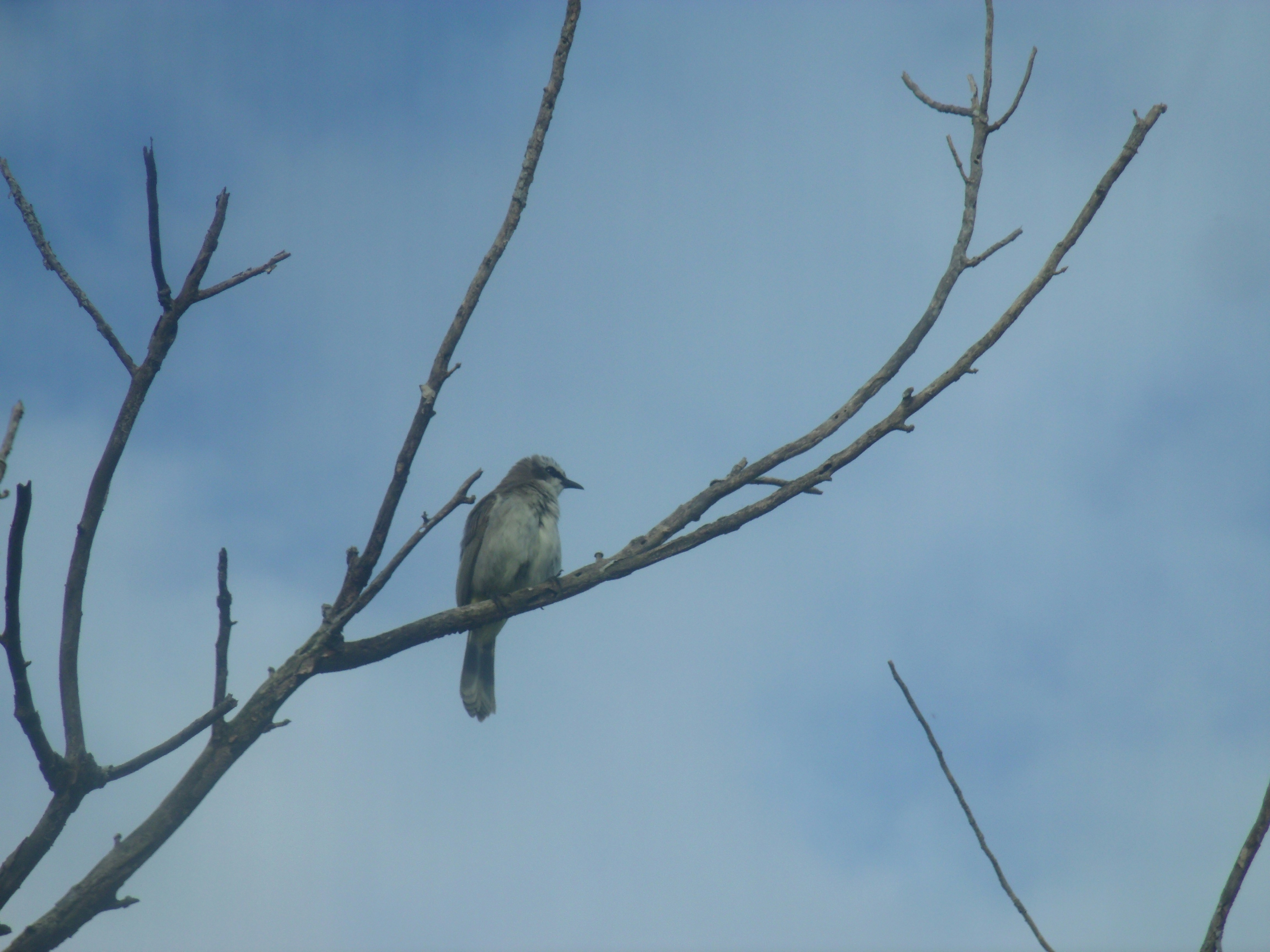 Photo by akojoseantonio