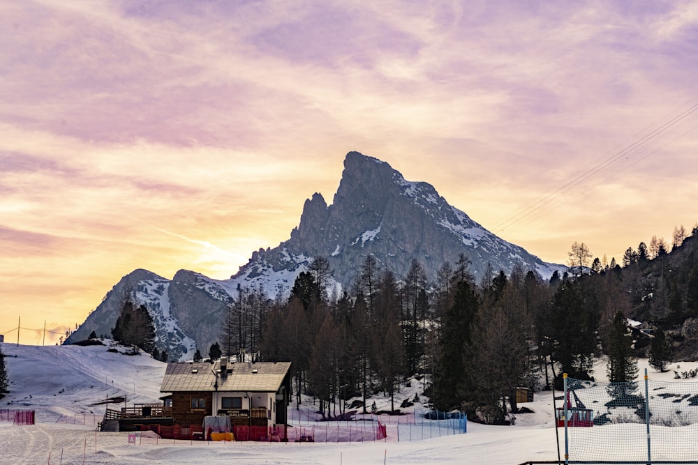 a ski resort with a mountain in the background