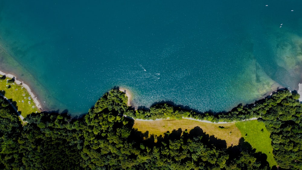 an aerial view of a body of water surrounded by trees