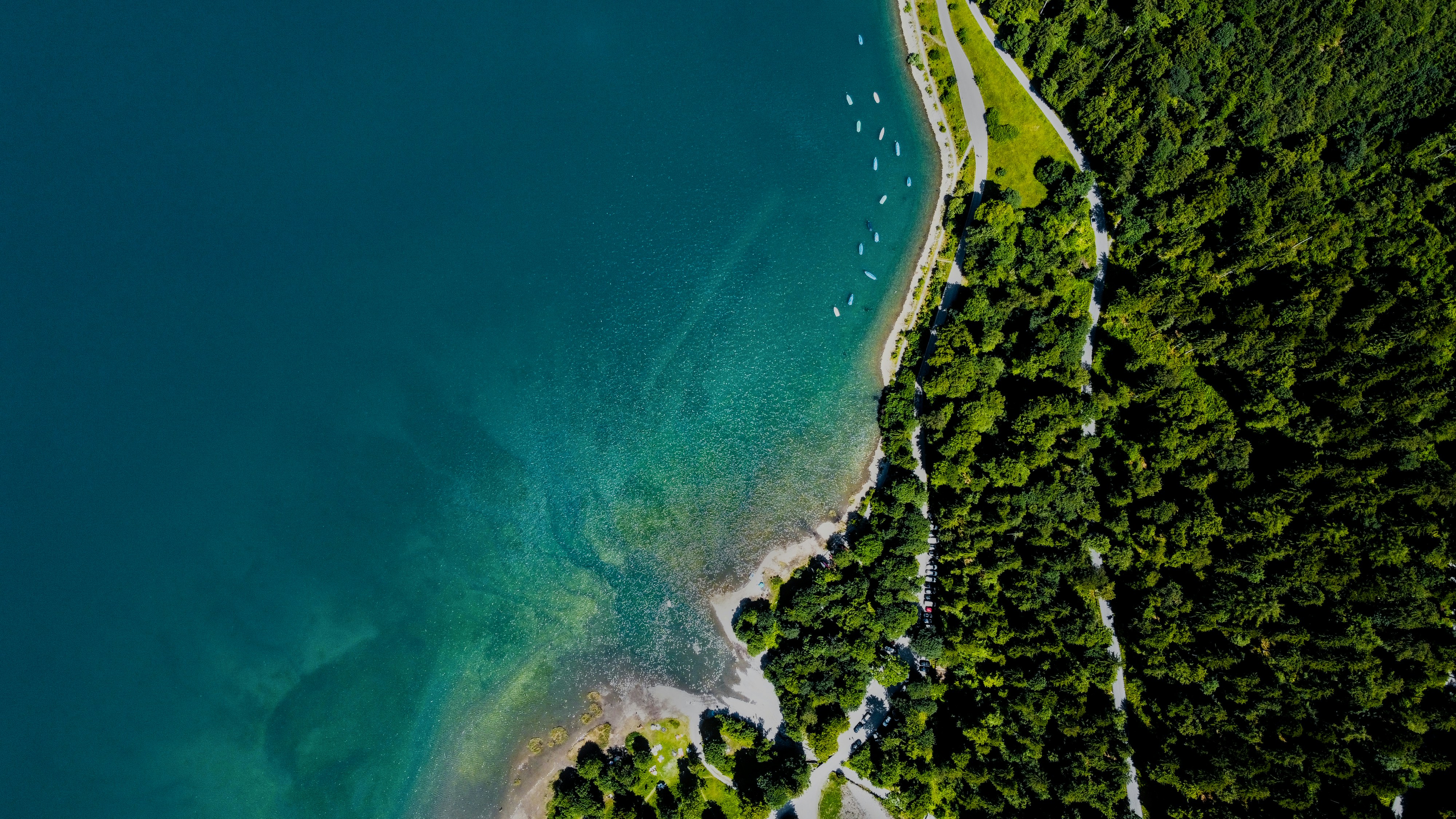 a bird's eye view of a body of water surrounded by trees
