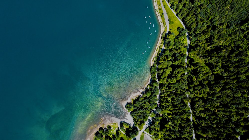 a bird's eye view of a body of water surrounded by trees