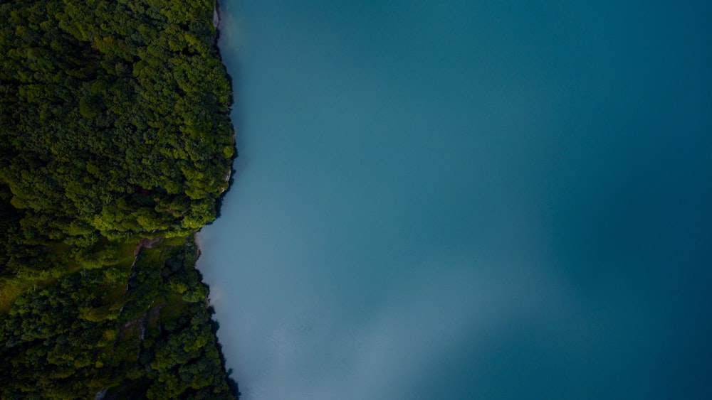 a large body of water surrounded by lush green trees