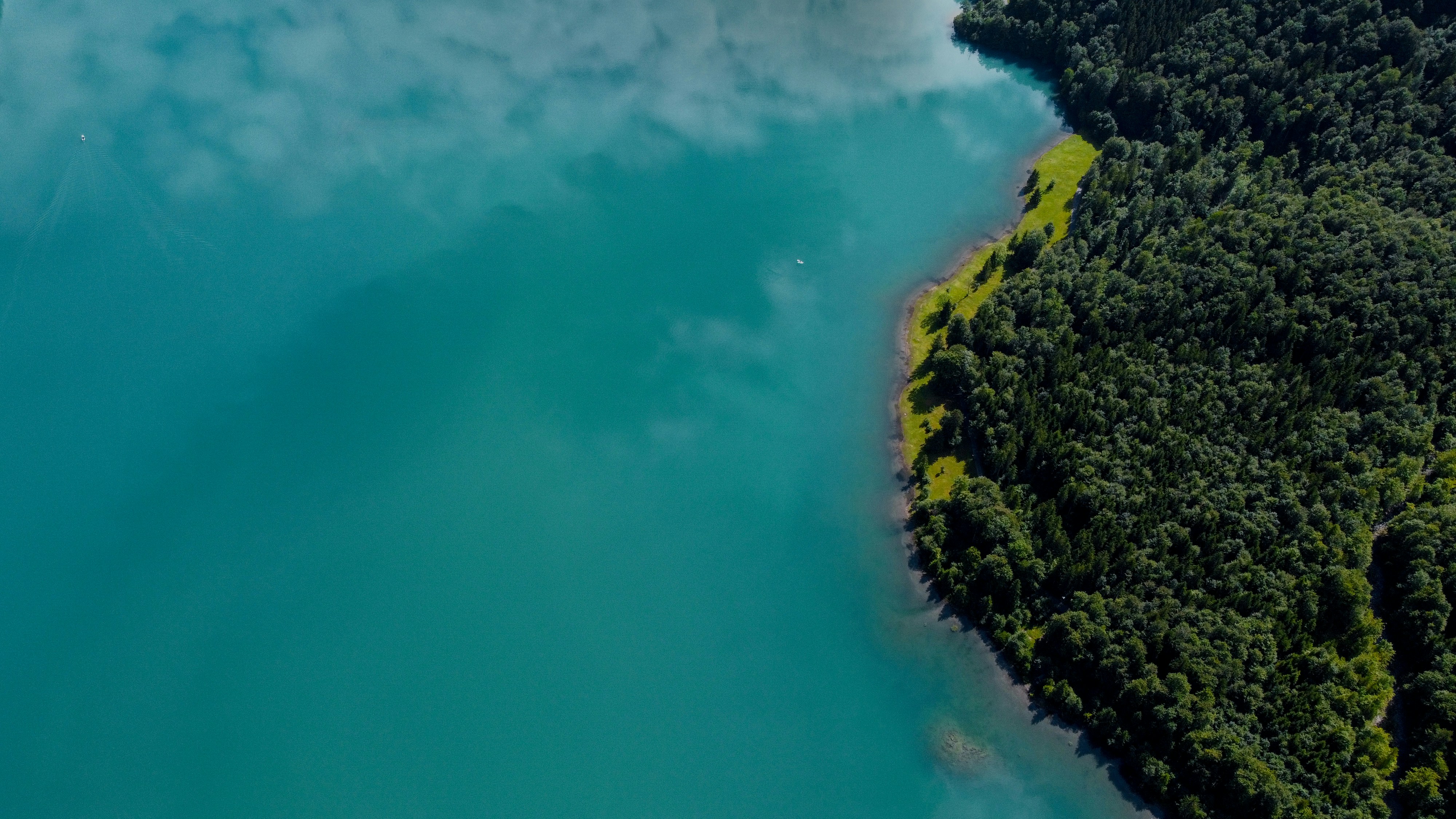 a large body of water surrounded by trees