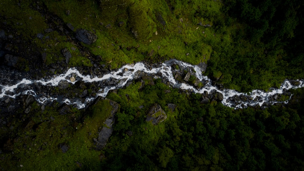 an aerial view of a river running through a forest