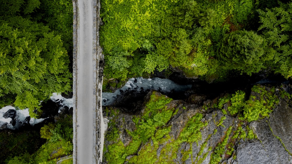 an aerial view of a road surrounded by trees