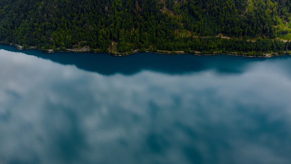 a large body of water surrounded by a forest