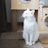 A white cat sits gracefully on a textured surface, looking to the side. The background features wooden cat furniture with cutouts and soft textures.