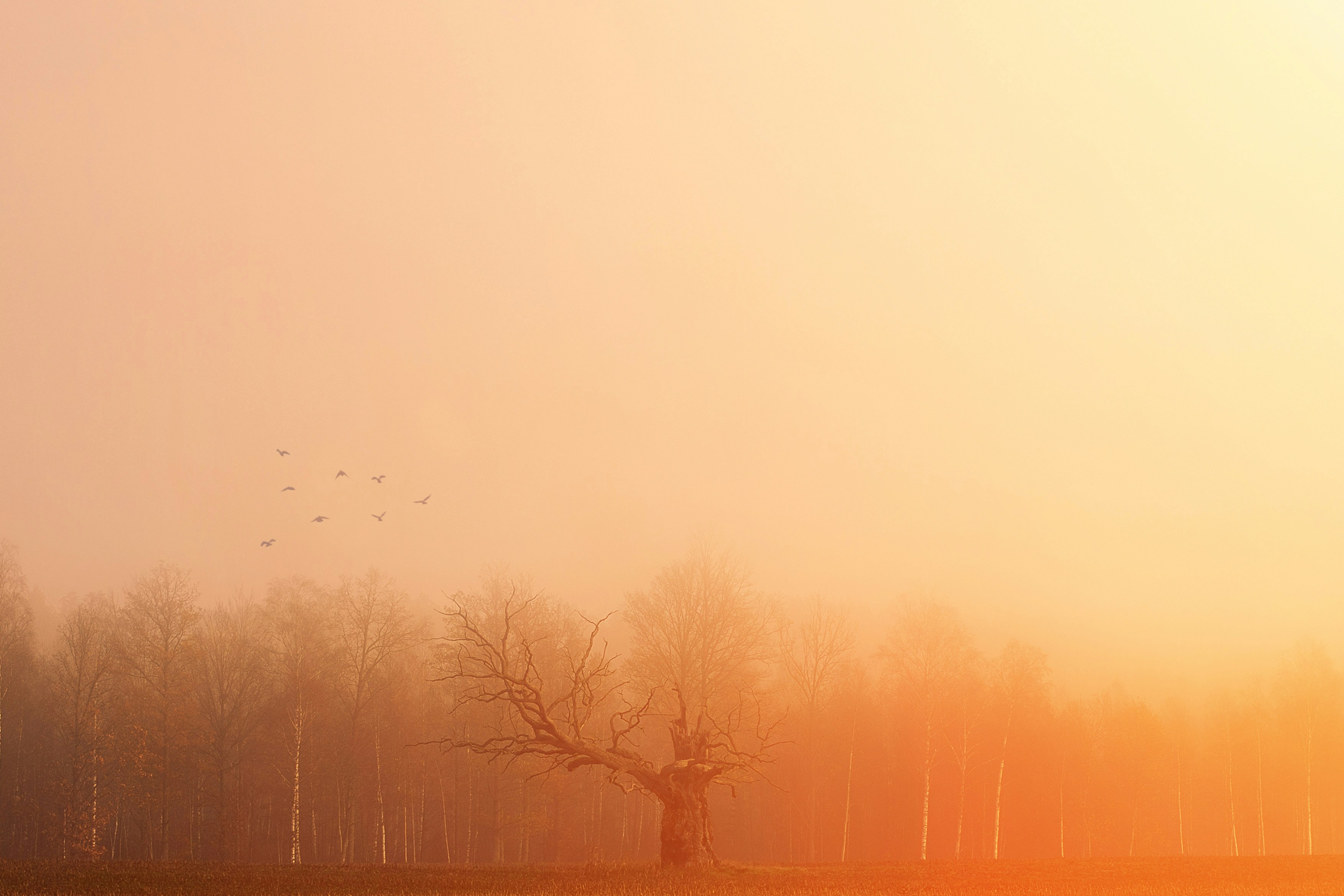 Photo by fotografbruno