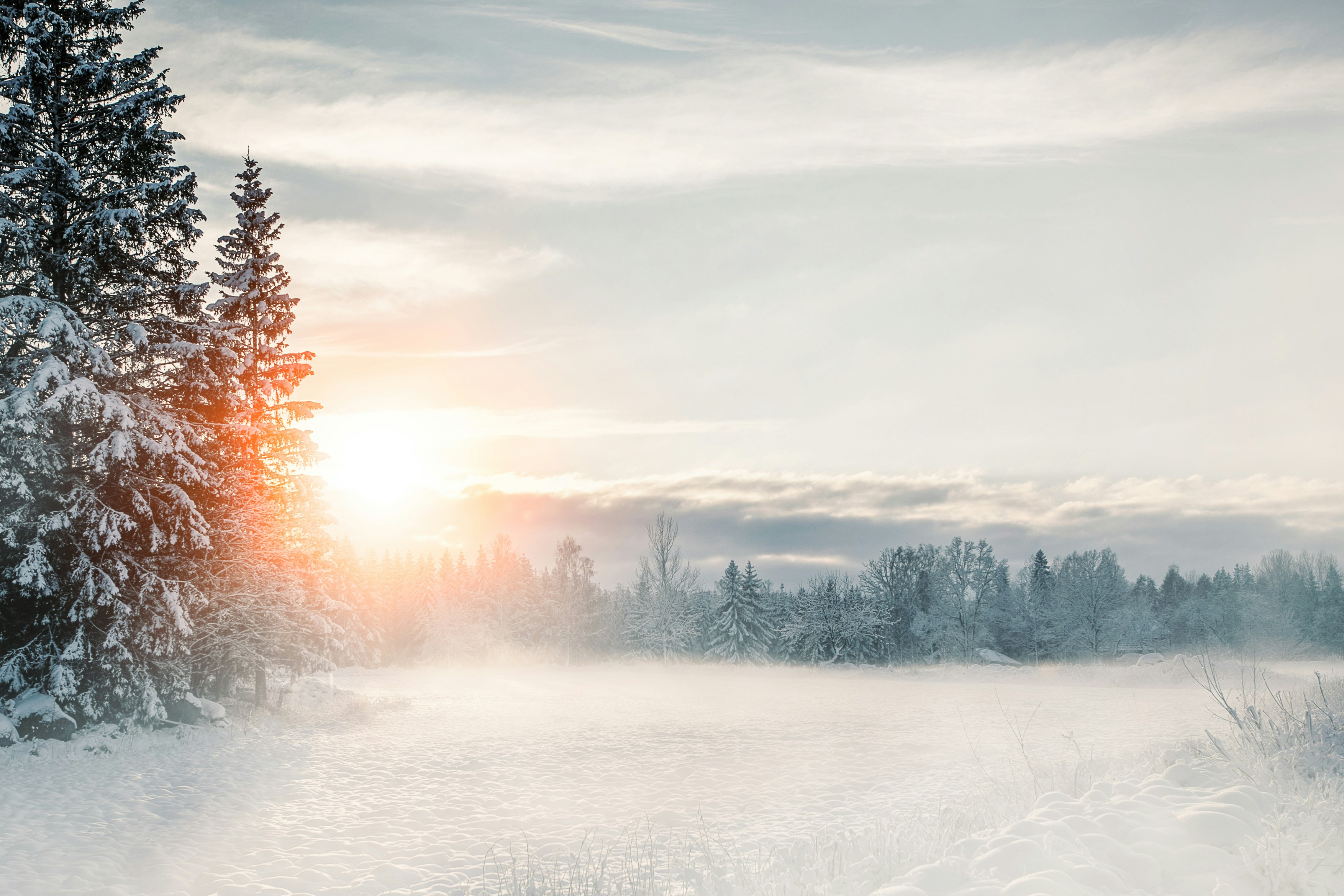 Photo by fotografbruno