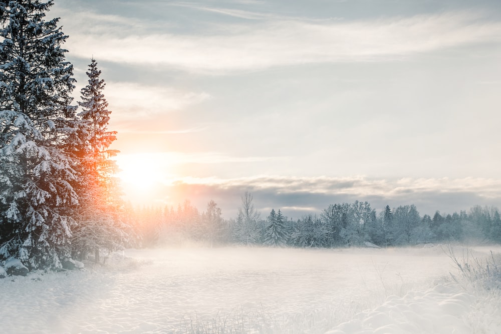 a snow covered field with trees in the background