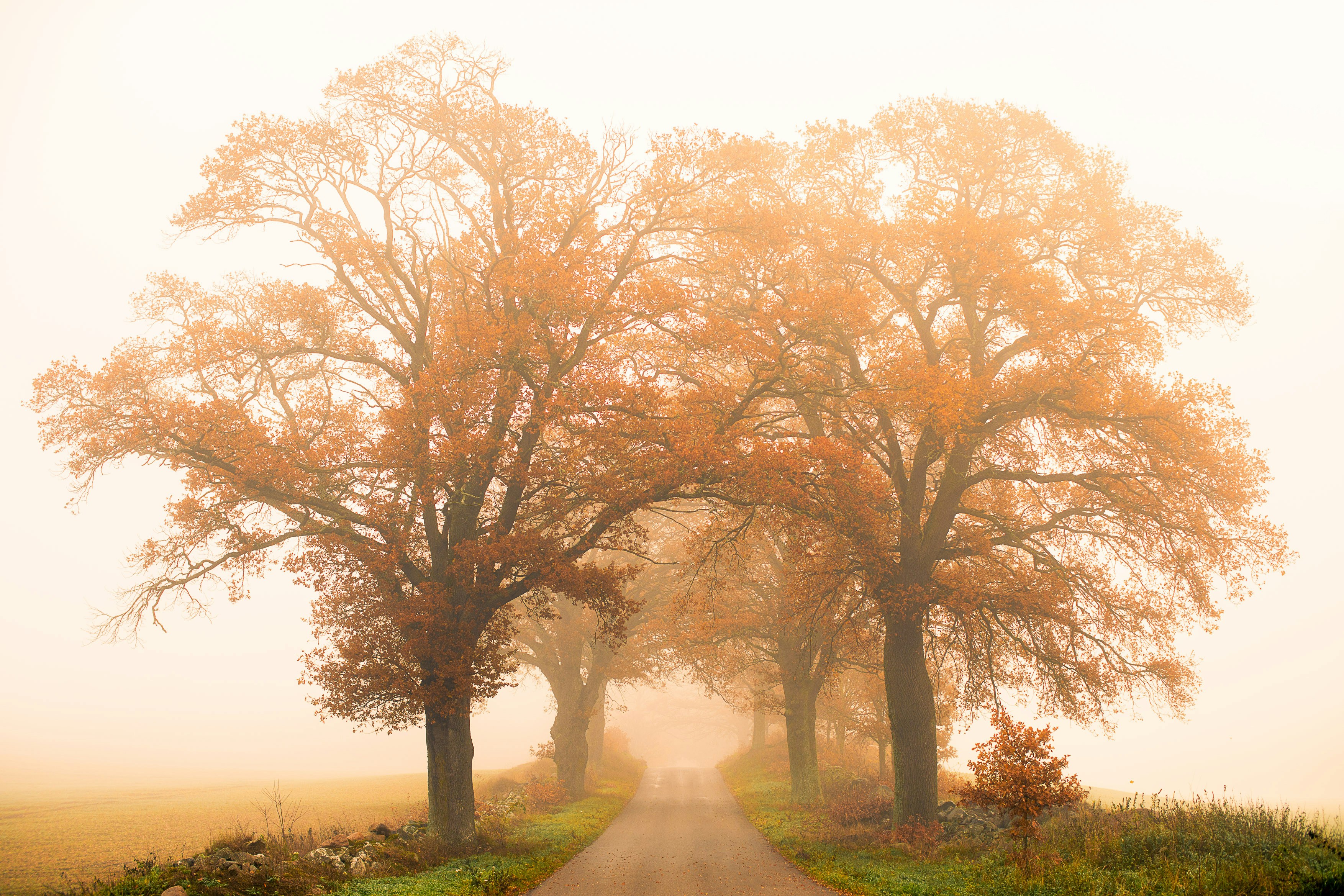 Photo by fotografbruno