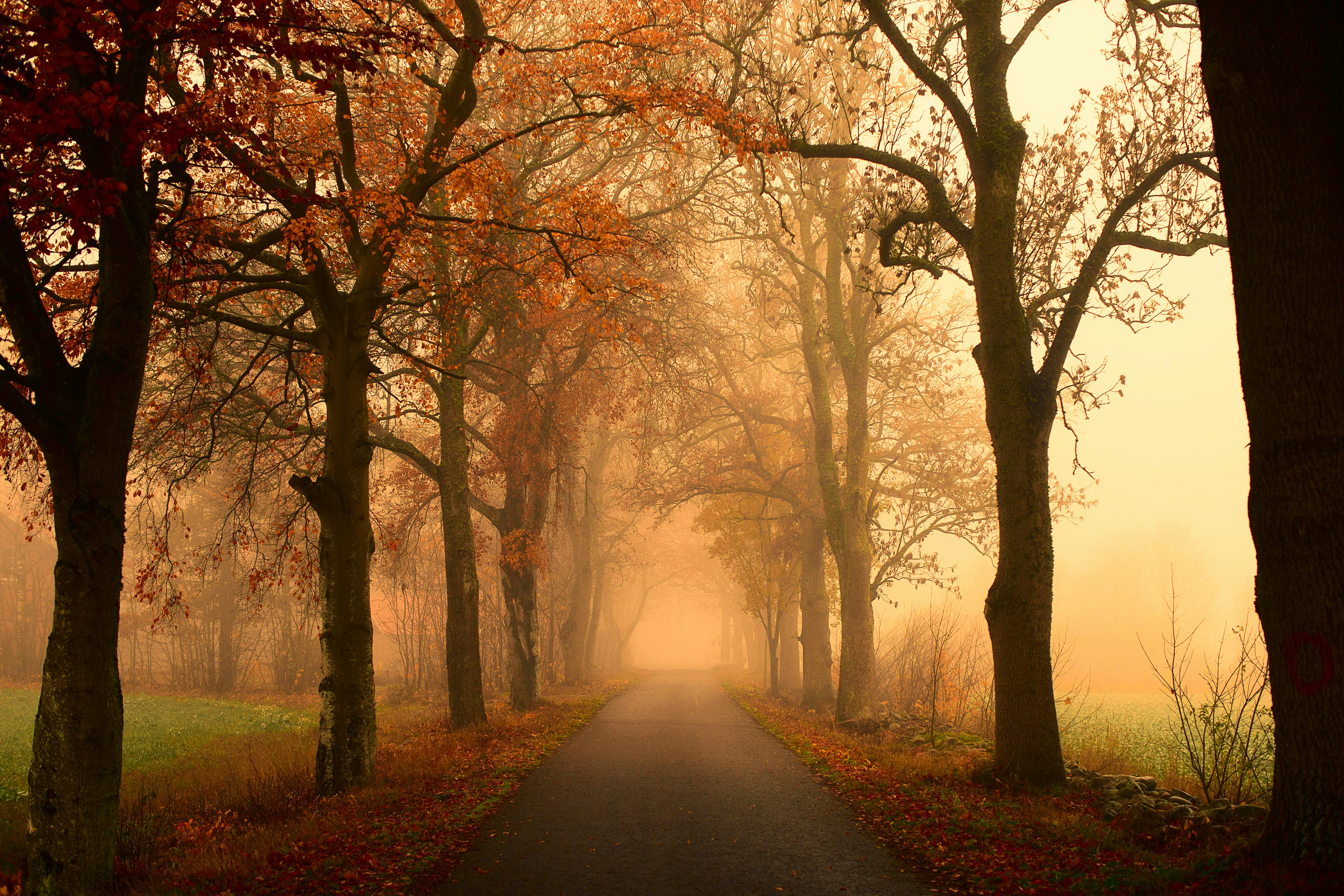 Photo by fotografbruno