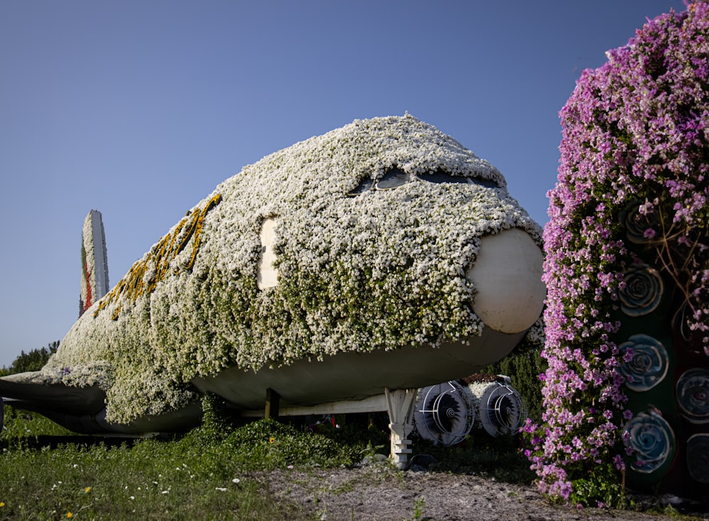 a plane covered in flowers next to a bush