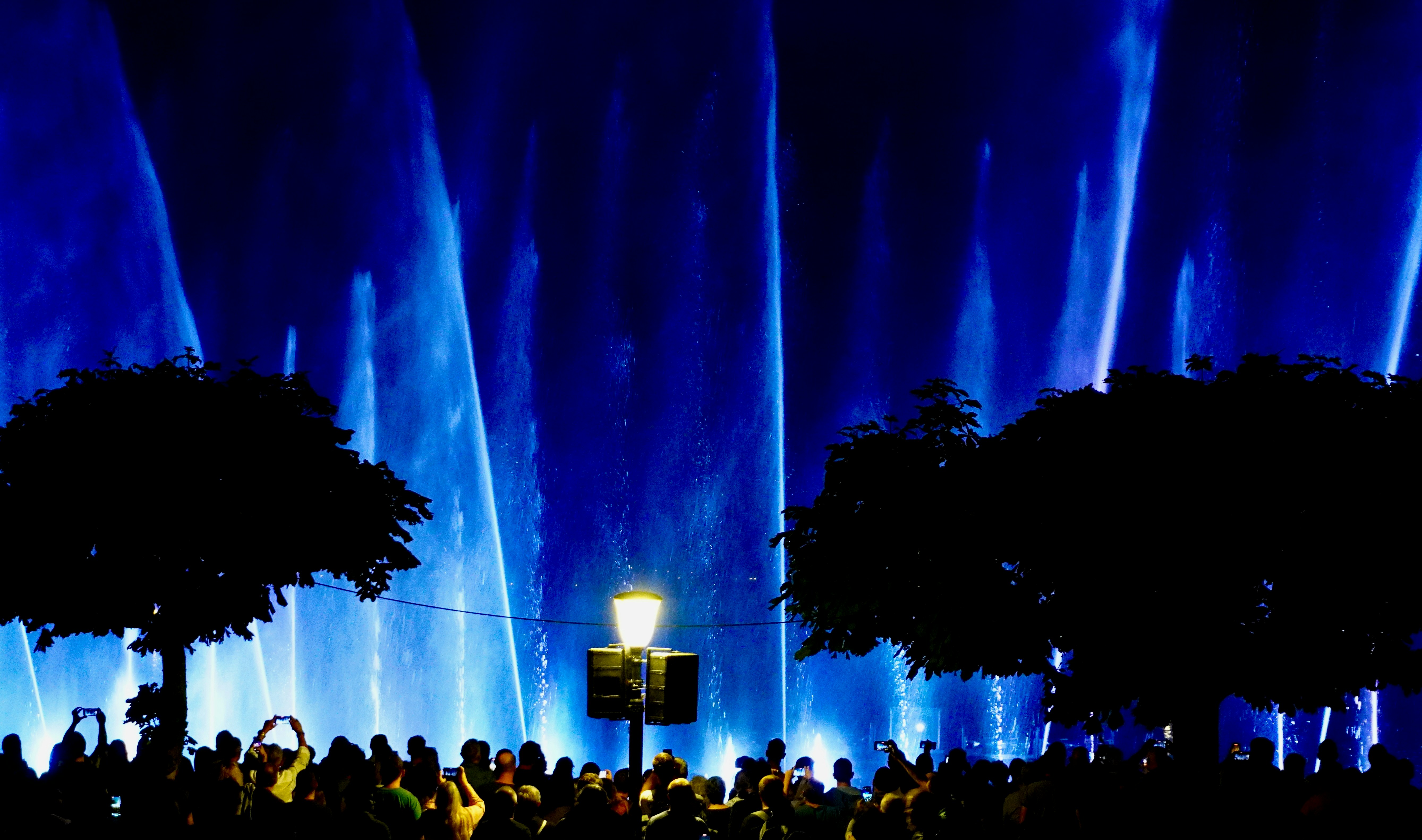 Photo by peterburdon