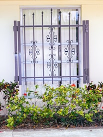 An ornate metal gate with decorative scrollwork is mounted in front of a window. Behind the gate, the window has vertical blinds partially drawn. Below the window, there is a lush, well-maintained shrubbery with green leaves and a few small red flowers, growing alongside a concrete walkway.