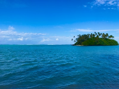 A small, lush, green island with tall palm trees is surrounded by calm, blue ocean waters. The sky is clear with scattered white clouds, creating a serene and tropical atmosphere.