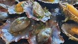 A close-up of cooked shellfish, likely clams or oysters, garnished with herbs. The shells are open, revealing the cooked meat which is shiny and moist. Some shells have yellow and green herbs visible.