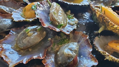A close-up of cooked shellfish, likely clams or oysters, garnished with herbs. The shells are open, revealing the cooked meat which is shiny and moist. Some shells have yellow and green herbs visible.