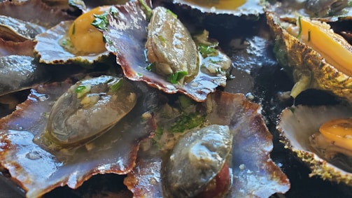 Fresh blood cockles arranged beautifully on a wooden table.