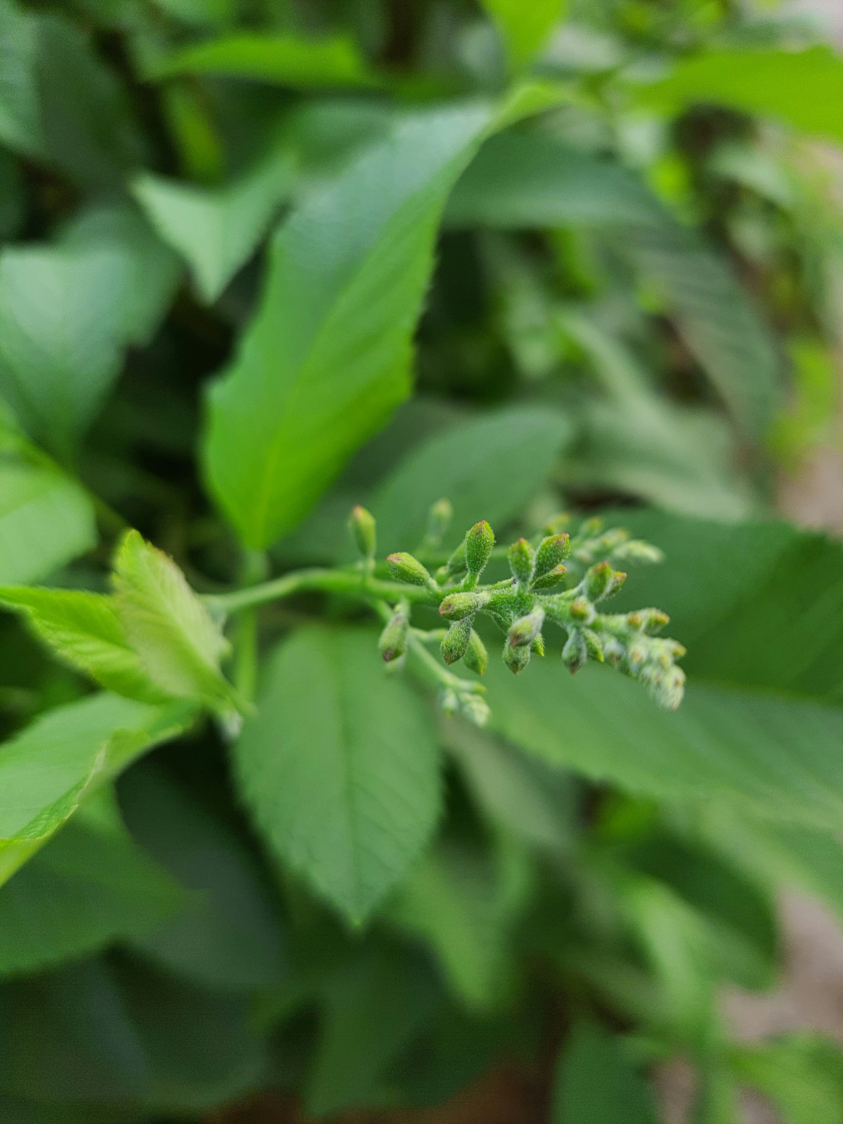 Photo by shreehari_photography