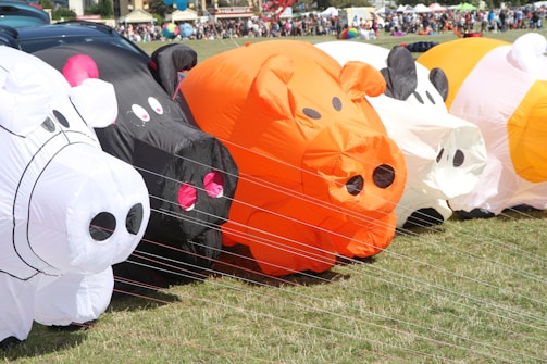 A series of inflatable animal shapes, resembling cows and pigs, are lined up on a grassy field. Brightly colored inflatables, including white, black, and orange, are tethered with strings to the ground. In the background, a crowd of people and festival tents can be seen, suggesting a festive outdoor event.