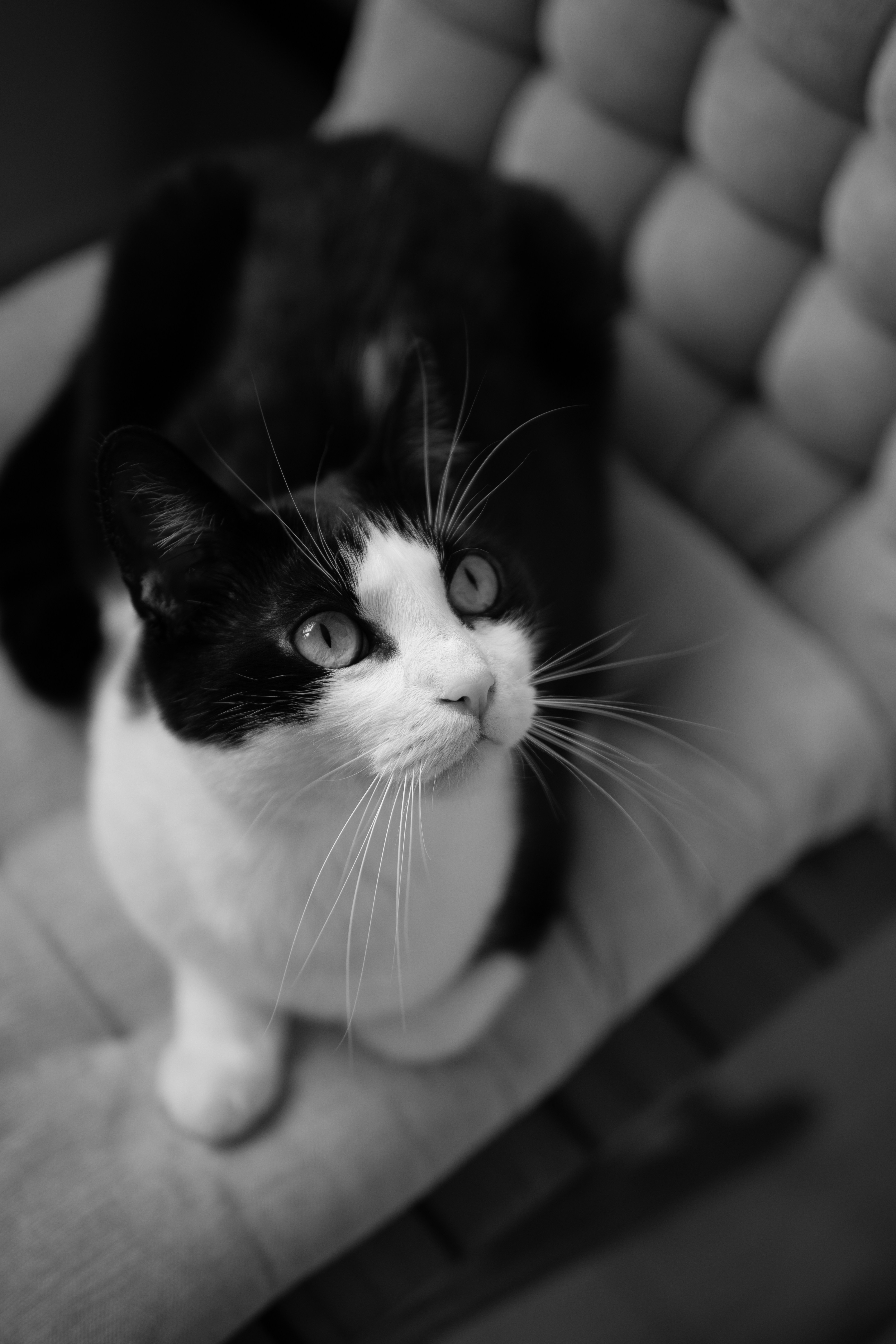 Photo by gaspitheartist