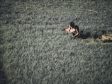 A person is working in a lush green paddy field, focused on tending the crops. The surrounding landscape shows dense growth, with a contrast of lighter and darker greens.