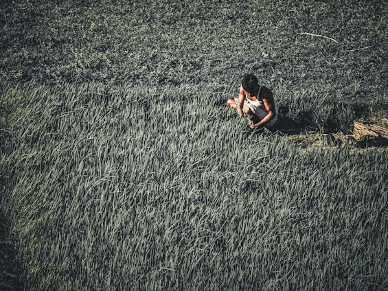 A person is working in a lush green paddy field, focused on tending the crops. The surrounding landscape shows dense growth, with a contrast of lighter and darker greens.