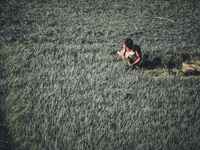 Pakistani farmer inspecting a lush green field reclaimed from saline soil.