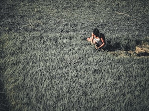 A person is working in a lush green paddy field, focused on tending the crops. The surrounding landscape shows dense growth, with a contrast of lighter and darker greens.