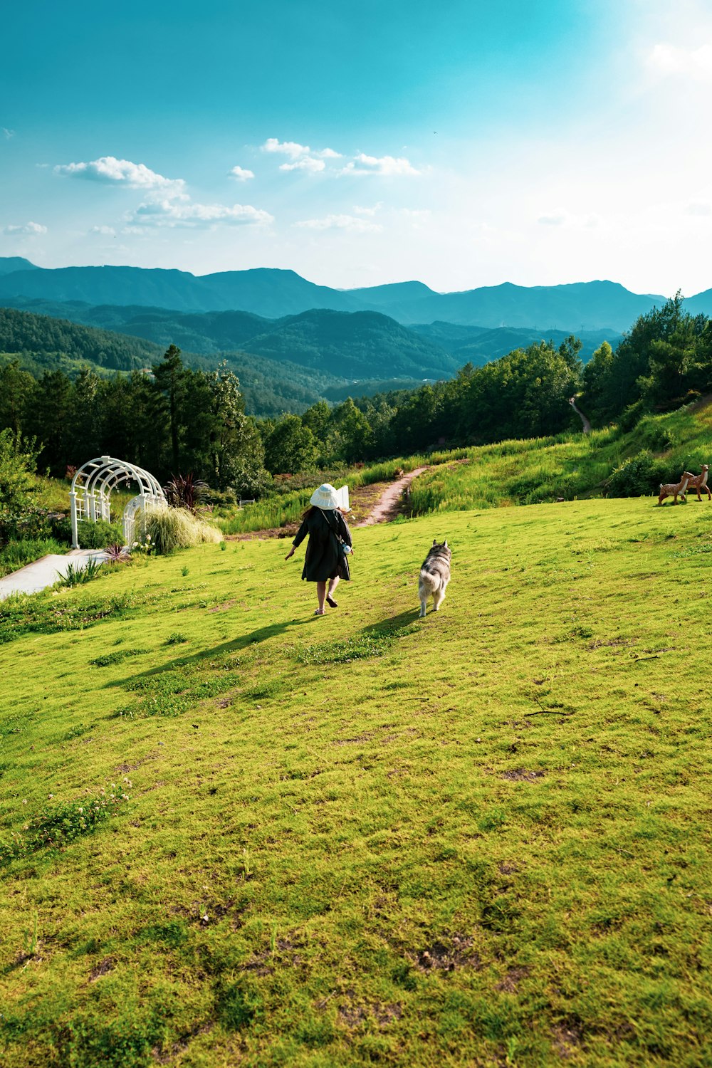 a woman walking a dog across a lush green field