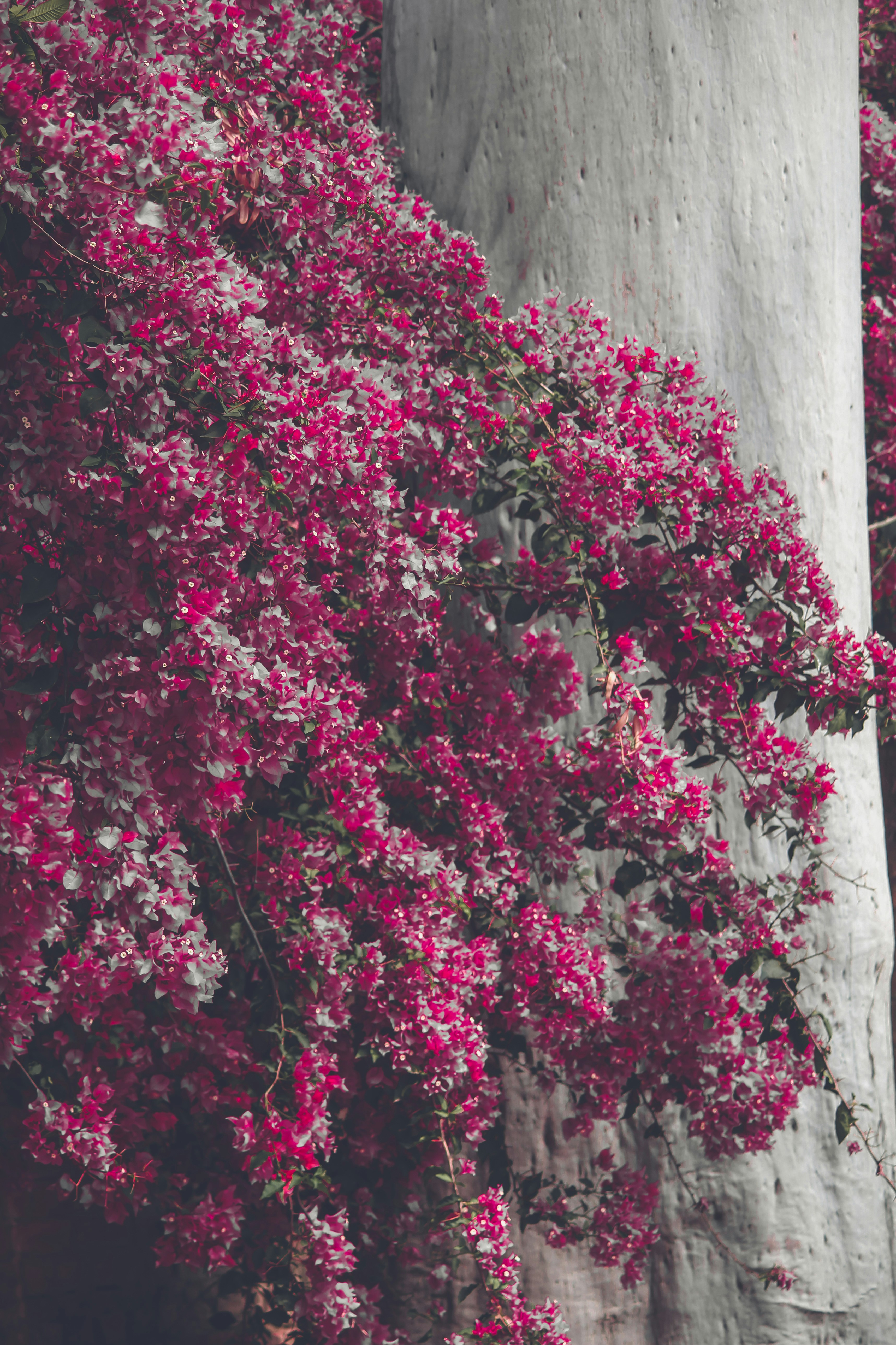 Photo by ankit_pai_n