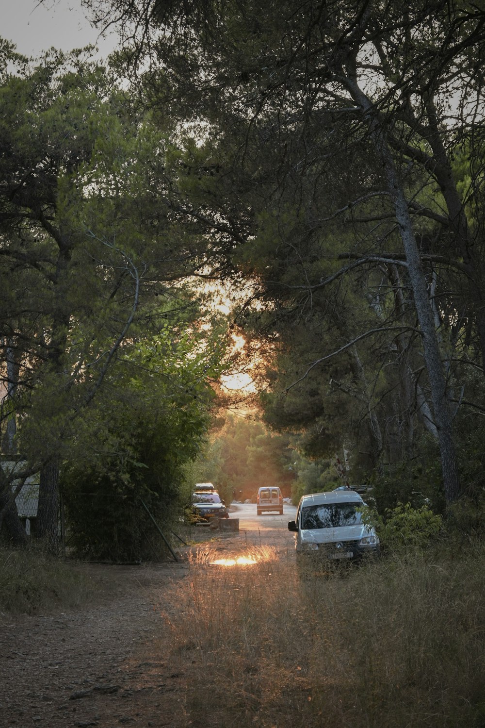 a group of cars driving down a dirt road