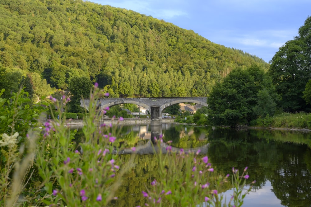 a bridge over a body of water near a lush green hillside
