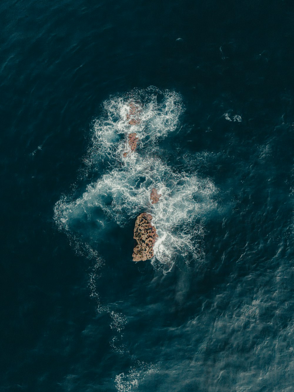 a group of people swimming in the ocean