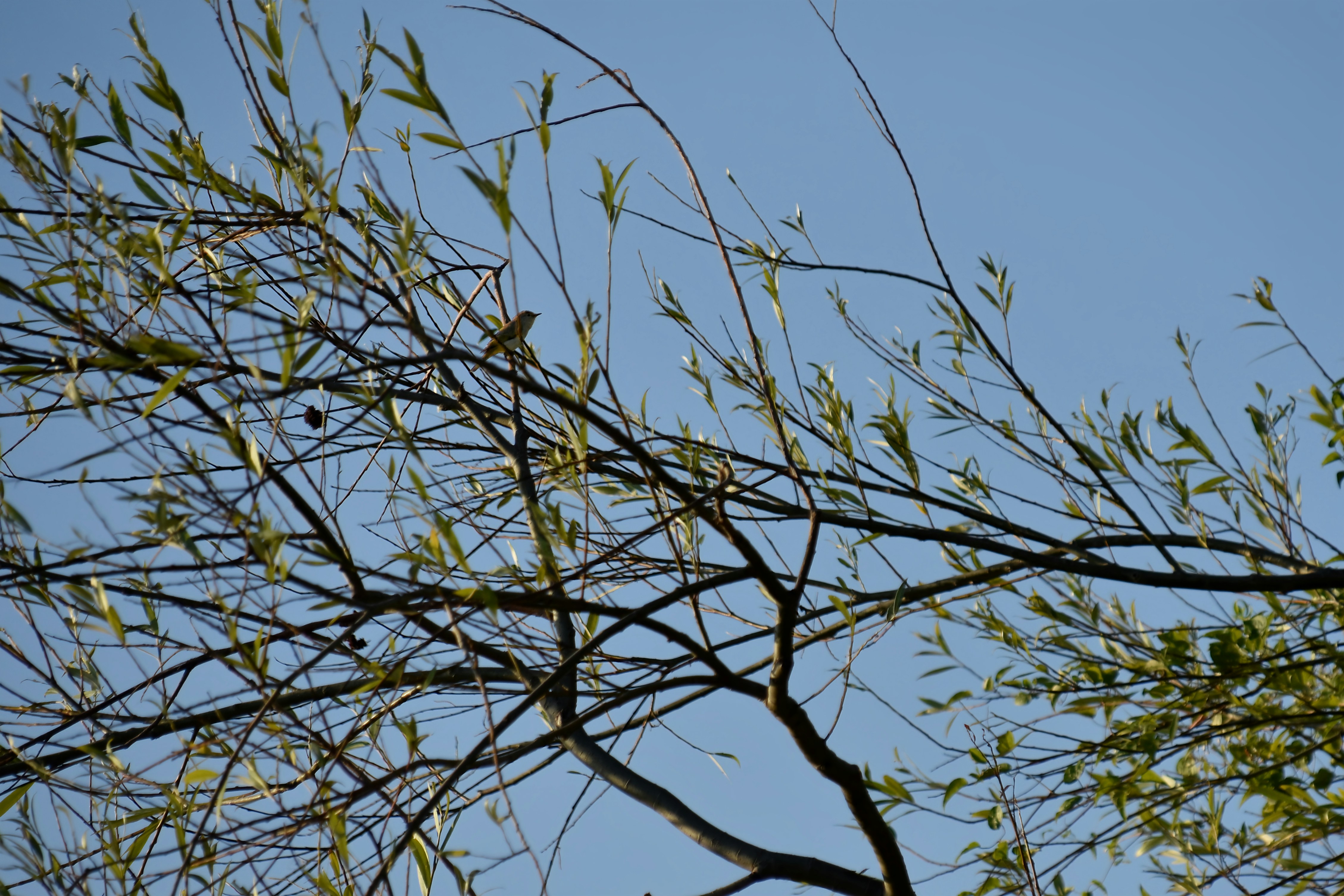 Photo by mariobeducci