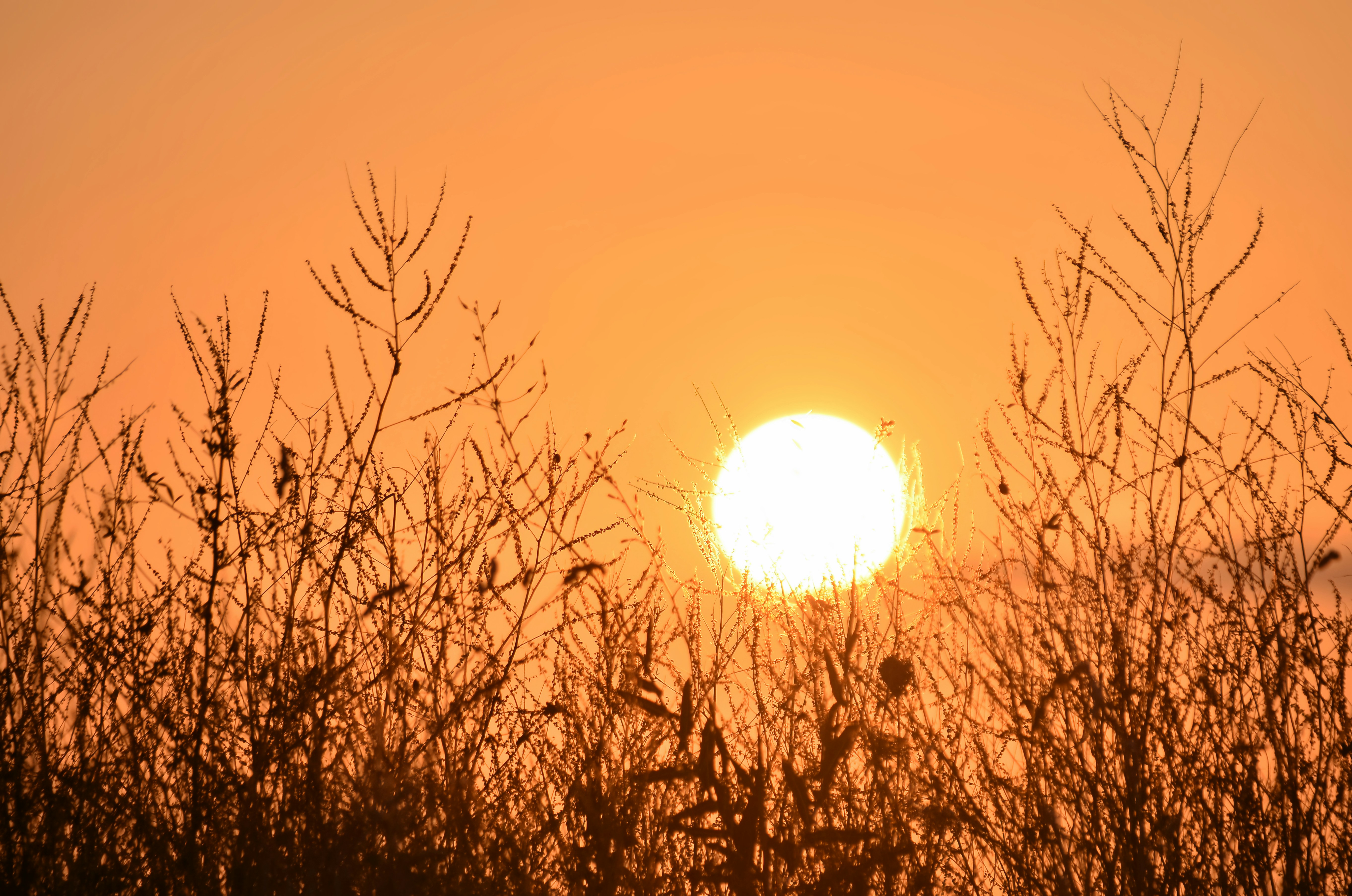 Photo by mariobeducci