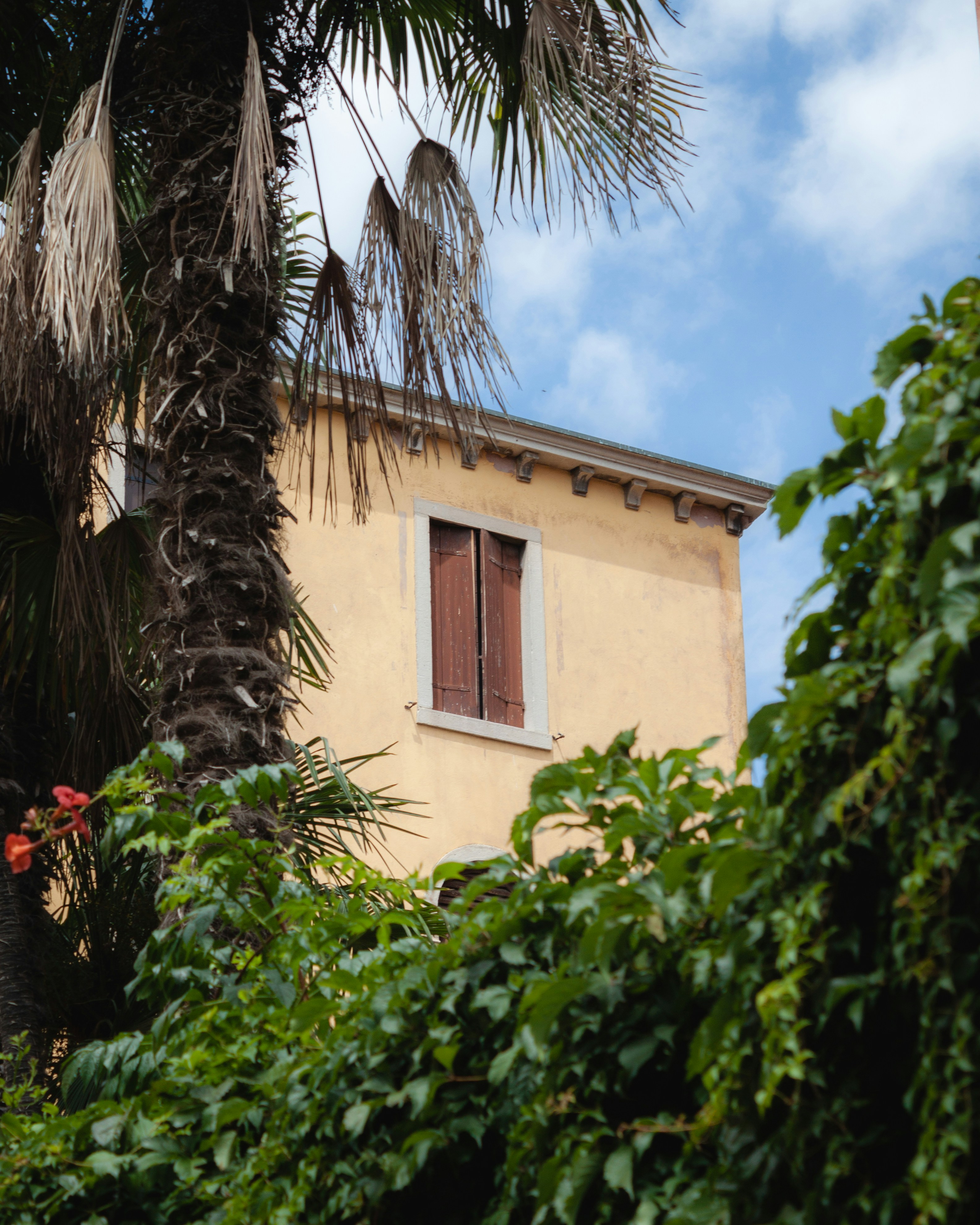 Photo by puskas_dominik