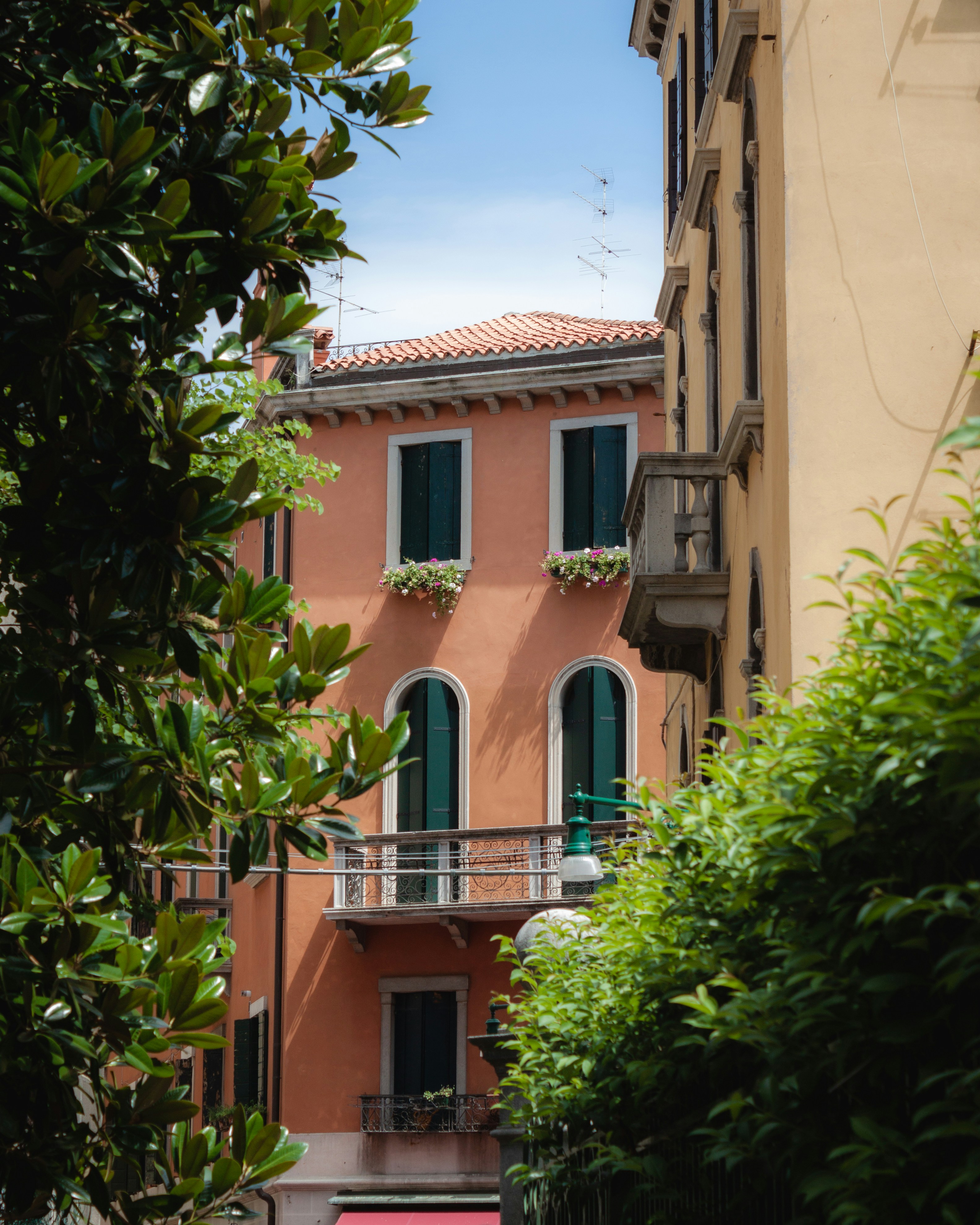 Photo by puskas_dominik