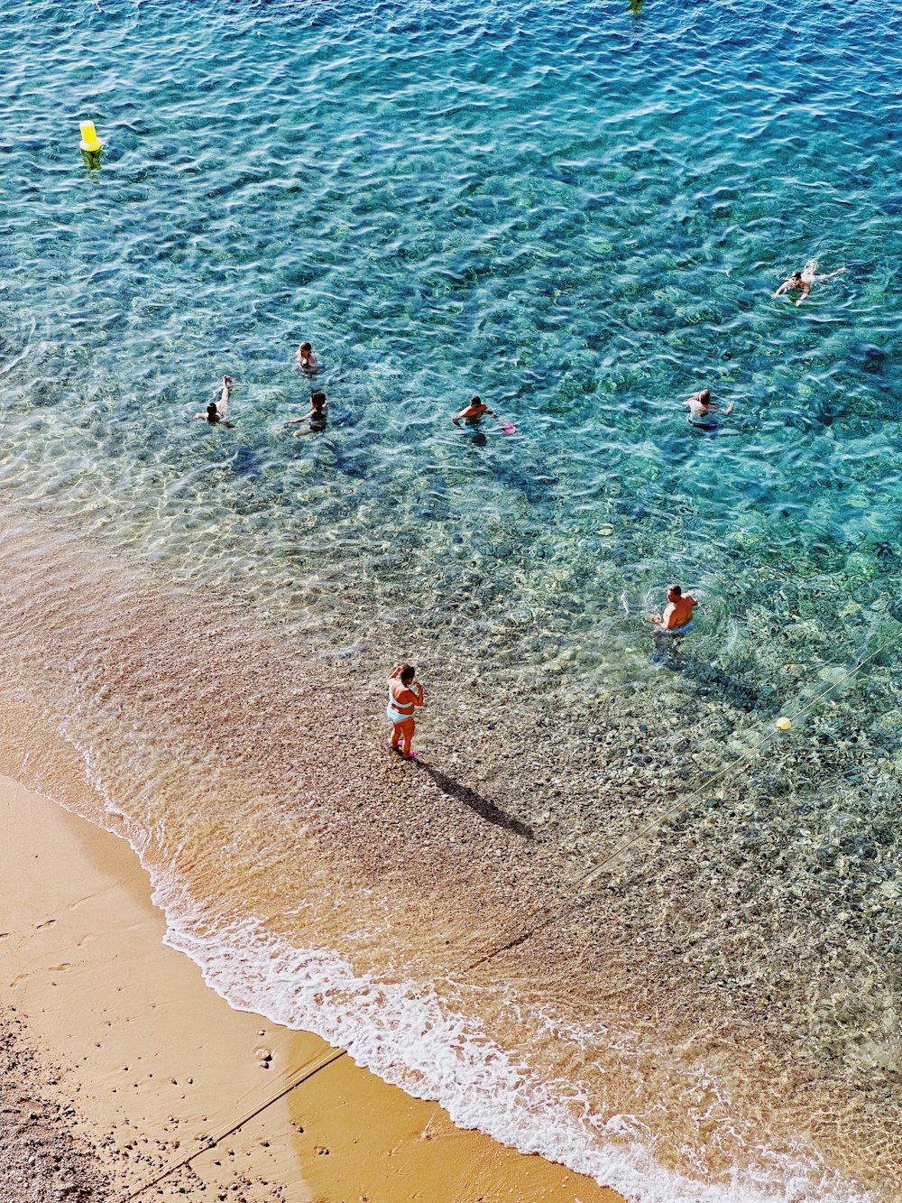 a group of people swimming in a body of water