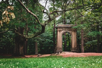 a stone arch in the middle of a forest