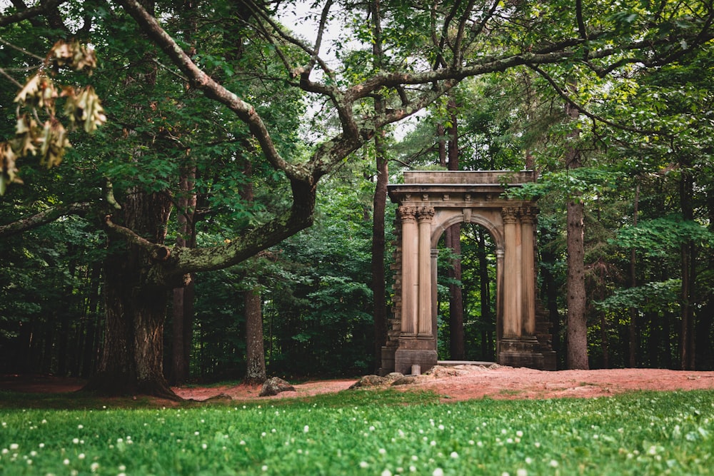 a stone arch in the middle of a forest