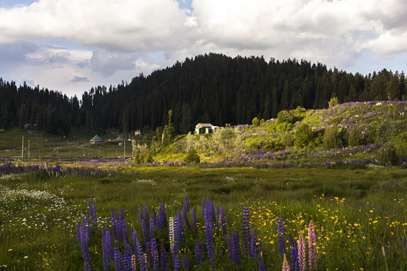Best Dessert Places in Gulmarg for a Proper Sweet Fix