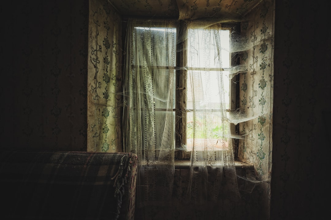 a room with a couch and a curtained window, Spider webs...